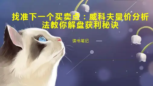 找准下一个买卖点：威科夫量价分析法教你解盘获利秘诀