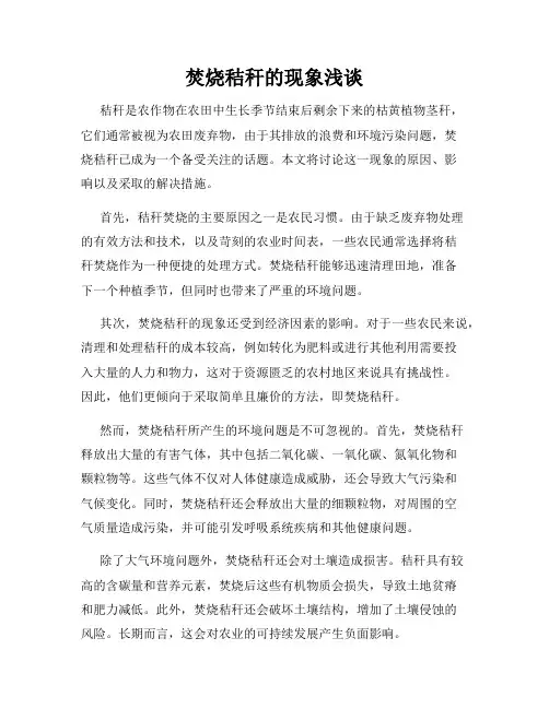 焚烧秸秆的现象浅谈