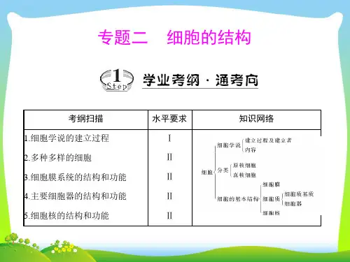 细胞学说的建立过程-课件