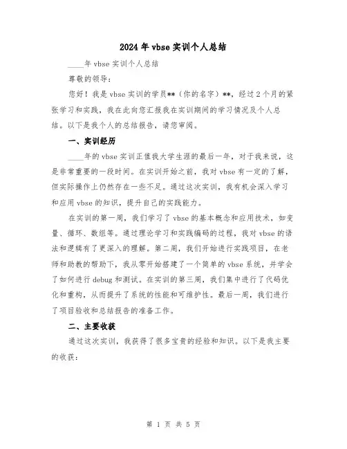 2024年vbse实训个人总结(2篇)