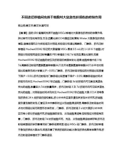 不同途径移植间充质干细胞对大鼠急性肝损伤的修复作用