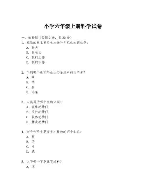 小学六年级上册科学试卷