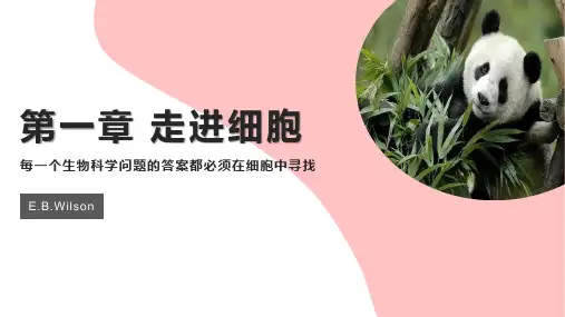 1.1  细胞生活的环境 课件 【新教材】人教版(2019)高中生物选择性必修一(优质课件4)
