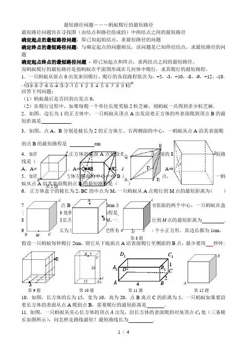 最短路径问题―――蚂蚁爬行的最短路径
