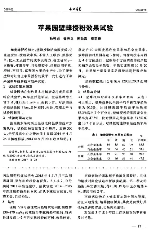 苹果园壁蜂授粉效果试验