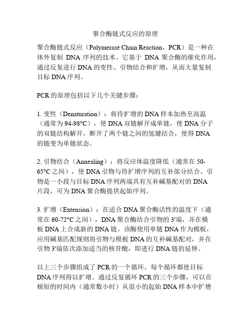 聚合酶链式反应的原理