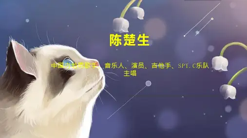 陈楚生    