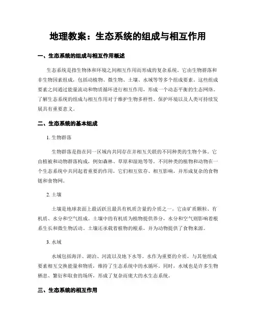 地理教案：生态系统的组成与相互作用