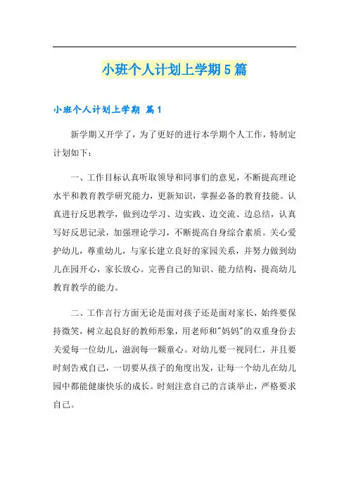 小班个人计划上学期5篇