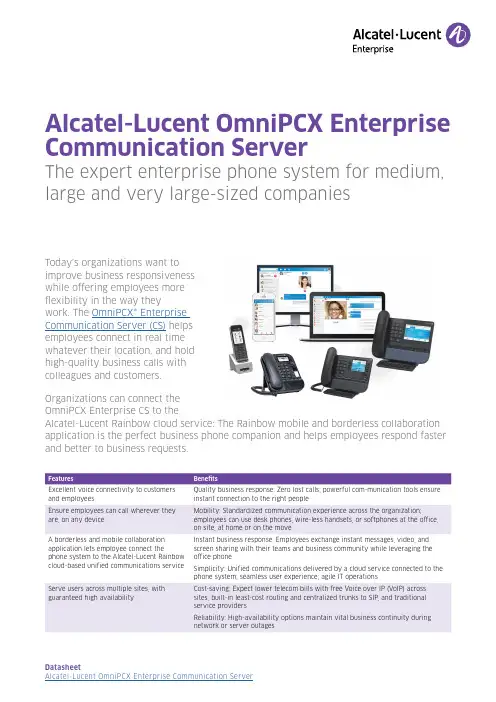 阿尔卡特-朗讯OmniPCX Enterprise通信服务器说明书