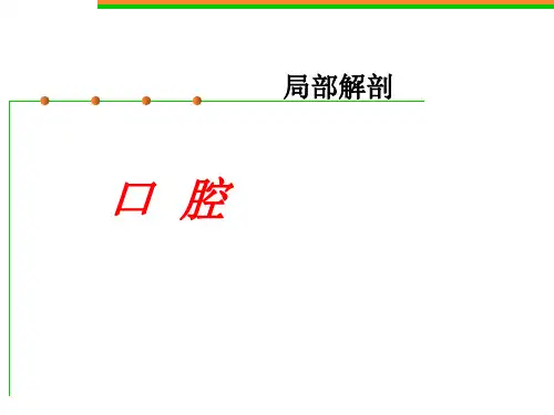 口腔解剖生理学 第十二章(口腔局解)