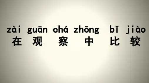 一年级上科学导学课件：在观察中比较教科版