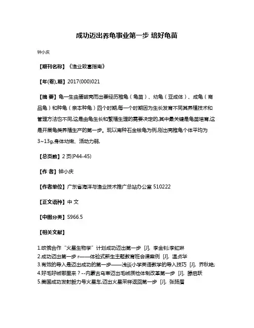 成功迈出养龟事业第一步 培好龟苗