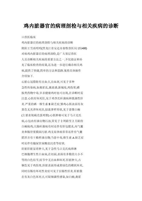 鸡内脏器官的病理剖检与相关疾病的诊断