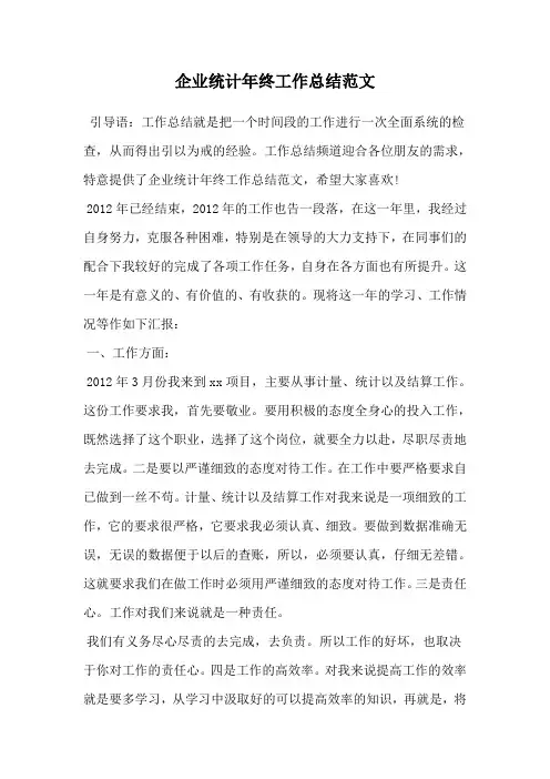 企业统计年终工作总结范文