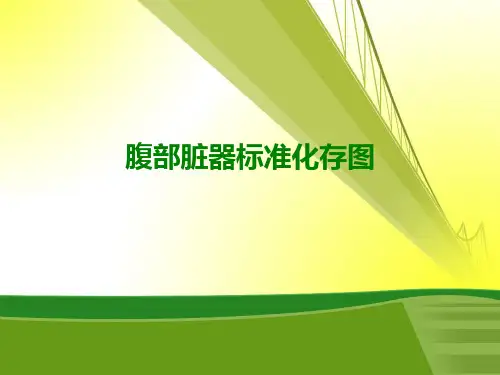腹部脏器标准化存图