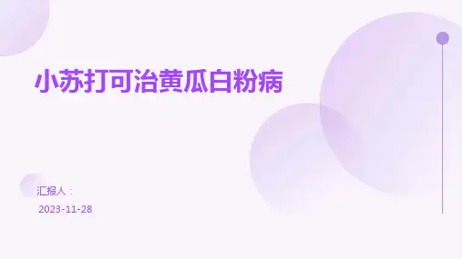 小苏打可治黄瓜白粉病