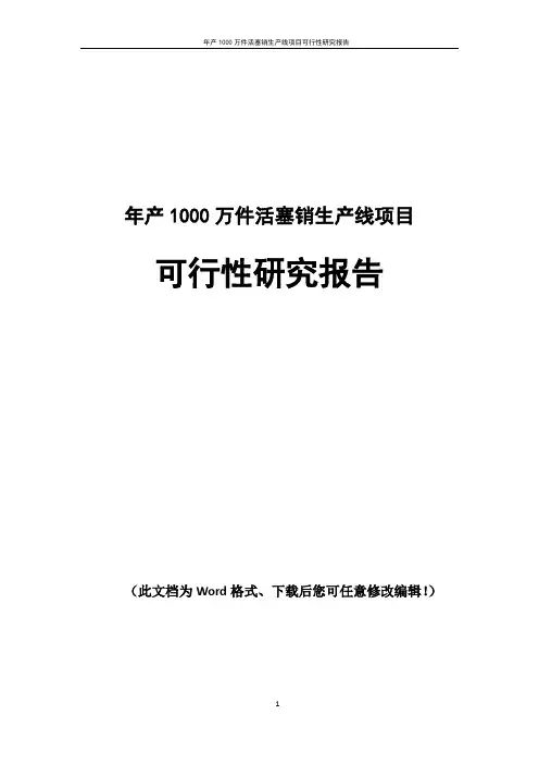 活塞销生产线项目可行性研究报告