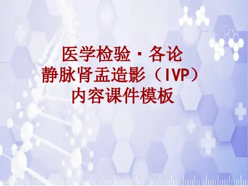 医学检验·检查项目：静脉肾盂造影(IVP)_课件模板
