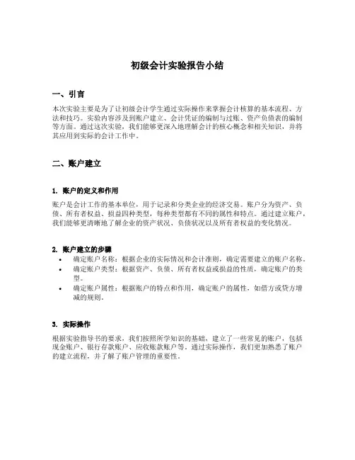 初级会计实验报告小结
