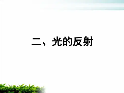 【新教材】人教版高中生物光的反射PPT精美课件1