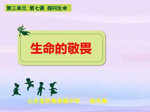 生命的敬畏ppt优秀课件 人教版PPT课件