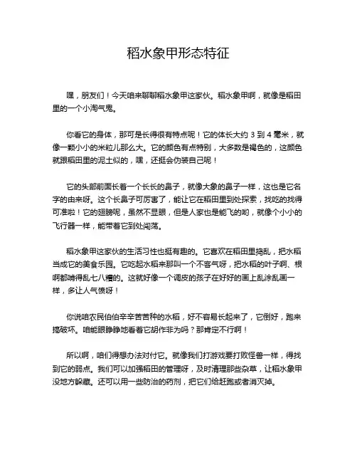 稻水象甲形态特征