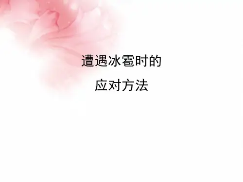 自然灾害-遭遇冰雹时的应对方法
