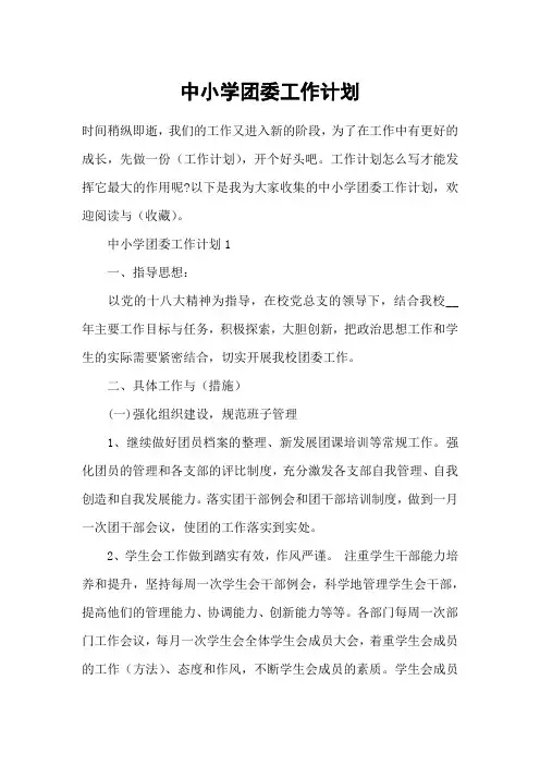 中小学团委工作计划