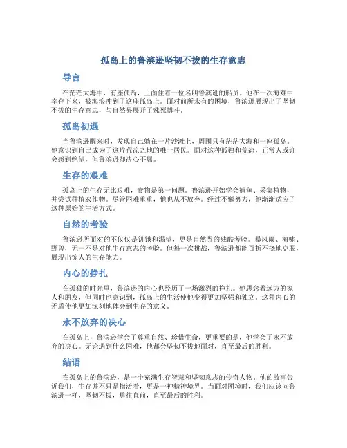 孤岛上的鲁滨逊坚韧不拔的生存意志