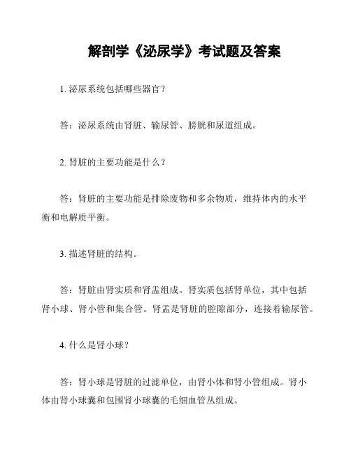 解剖学《泌尿学》考试题及答案