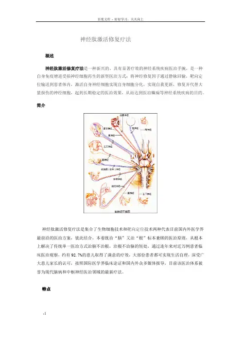神经肽激活修复疗法