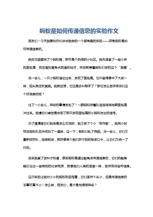 蚂蚁是如何传递信息的实验作文