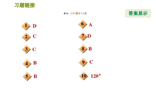 沪科版七年级下册数学第10章10.3.2平行线的性质和判定的综合应用习题课件