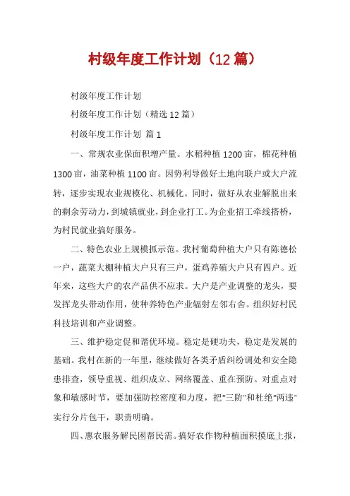 村级年度工作计划(12篇)