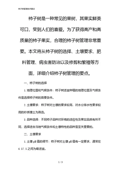 柿子树管理技术要点(2024)
