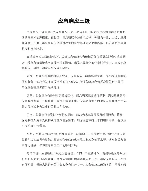 应急响应三级
