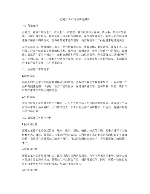 蓝莓加工可行性研究报告