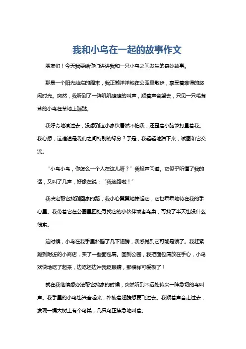 我和小鸟在一起的故事作文