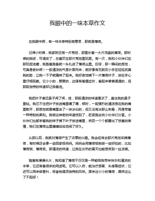 我眼中的一味本草作文