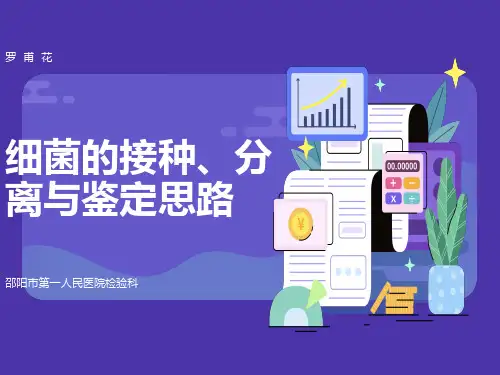 细菌的接种分离与鉴定