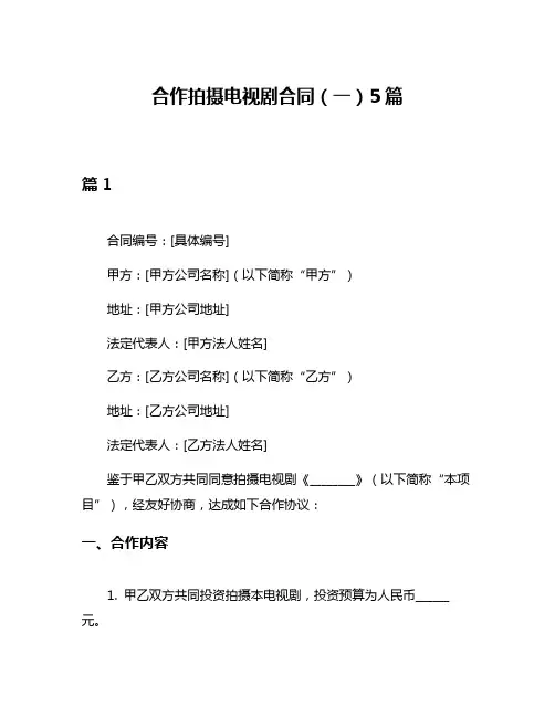合作拍摄电视剧合同(一)5篇