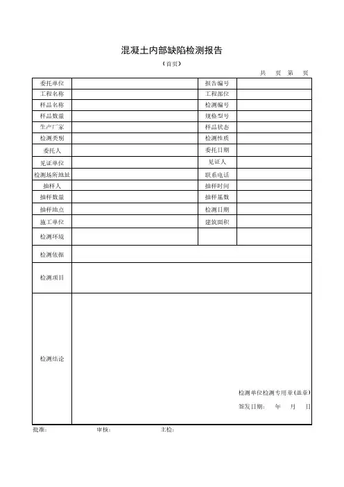 混凝土内部缺陷检测报告