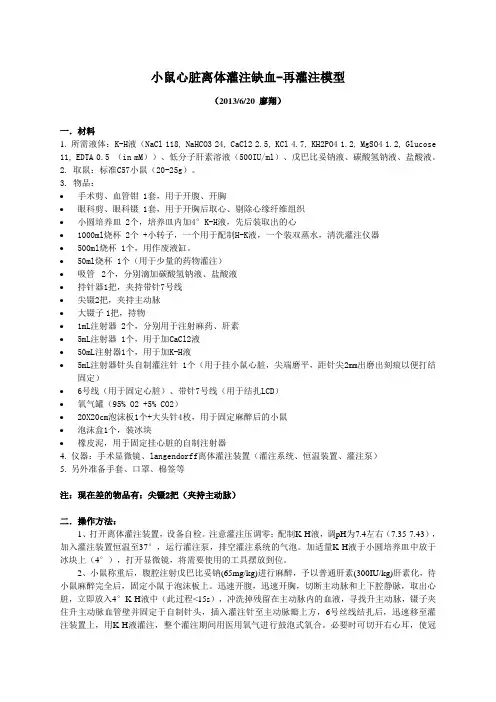 小鼠心脏离体灌注缺血-再灌注模型