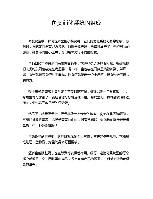 鱼类消化系统的组成