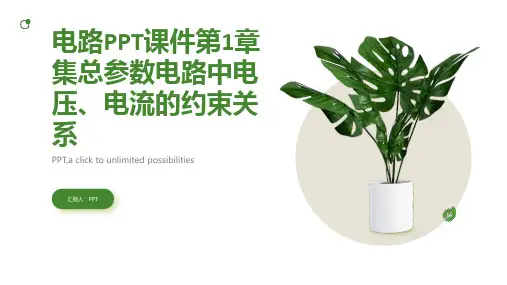 电路课件第1章集总参数电路中电压、电流的约束关系