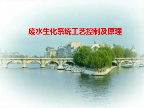 废水生化系统工艺控制及原理