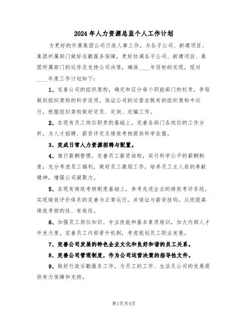 2024年人力资源总监个人工作计划(二篇)