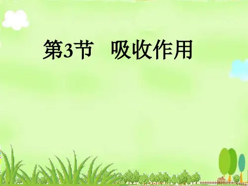 生物七年级上册5章3节吸收作用课件北师大版