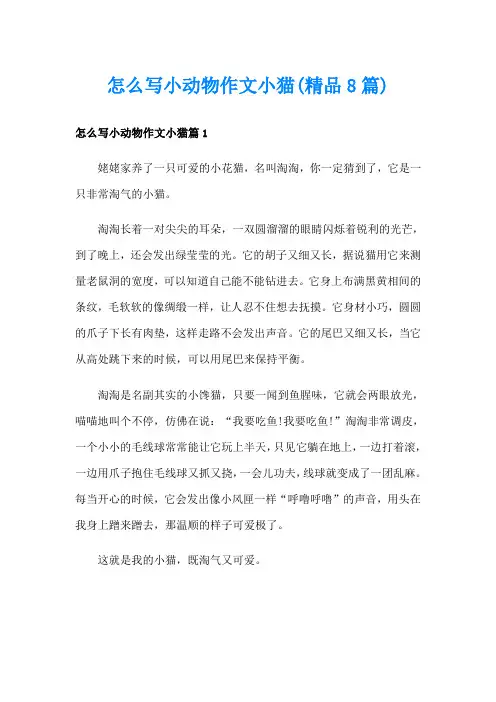 怎么写小动物作文小猫(精品8篇)
